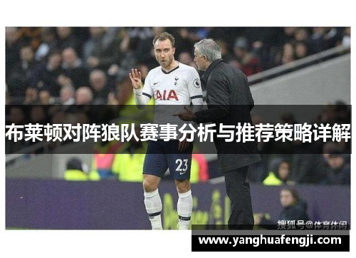 布莱顿对阵狼队赛事分析与推荐策略详解