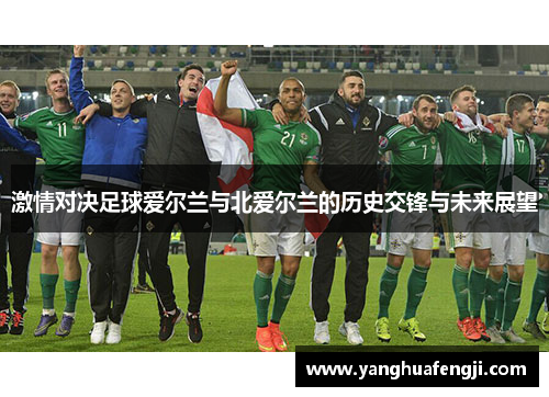 激情对决足球爱尔兰与北爱尔兰的历史交锋与未来展望