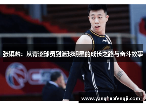 张镇麟：从青涩球员到篮球明星的成长之路与奋斗故事